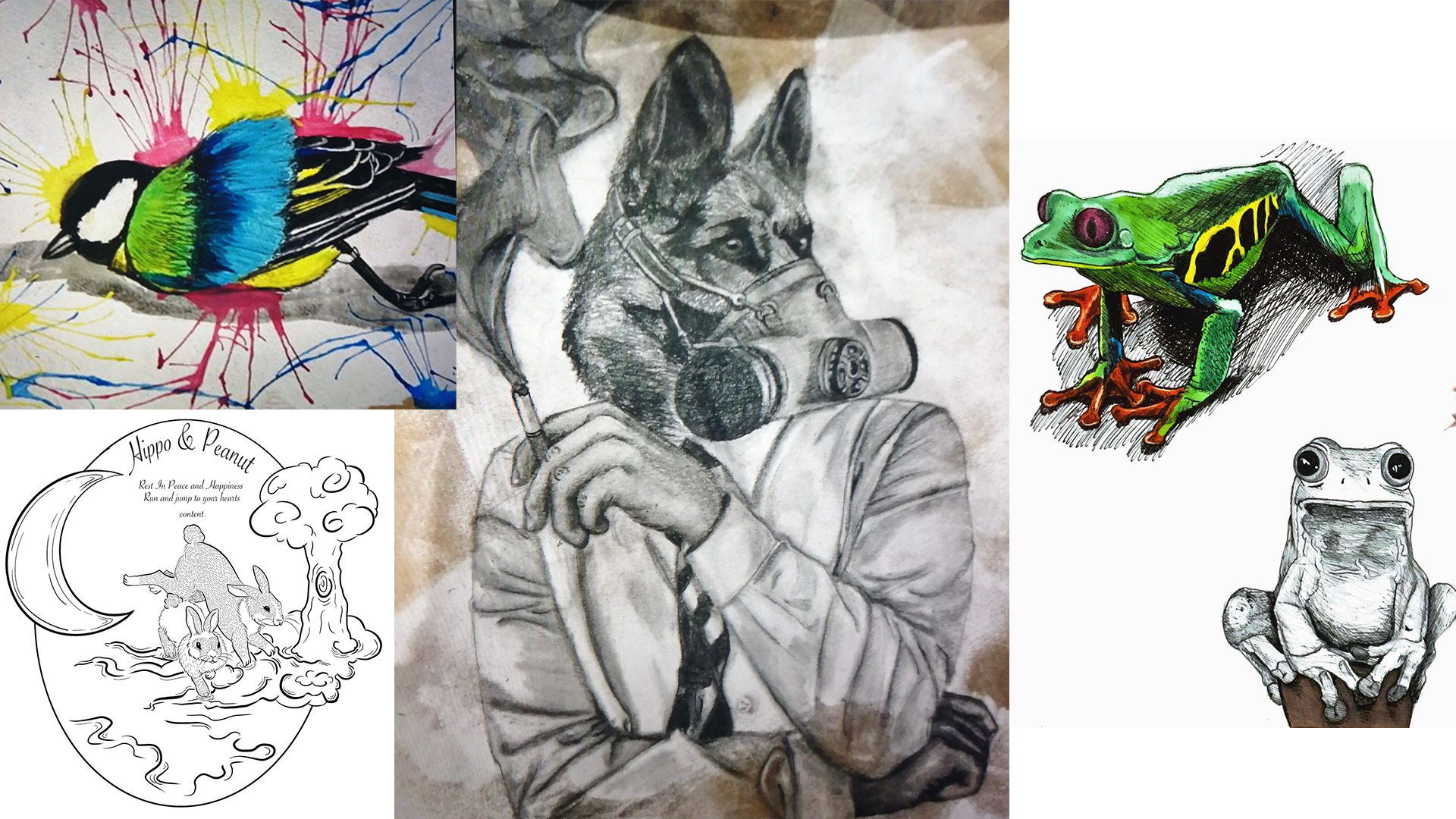 Collage of Dory Designs FineArt and Drawings